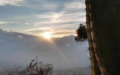 Manifiesto del camino