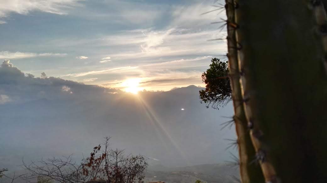 Manifiesto del camino